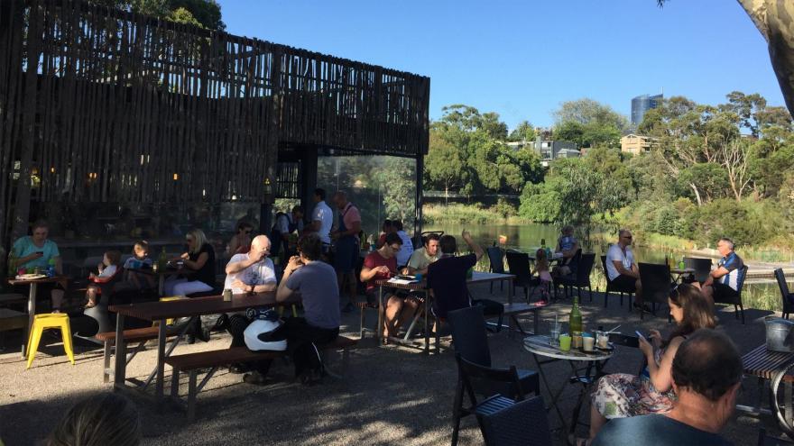 墨尔本雅拉河生物多样性链接丨澳大利亚墨尔本丨不详-3