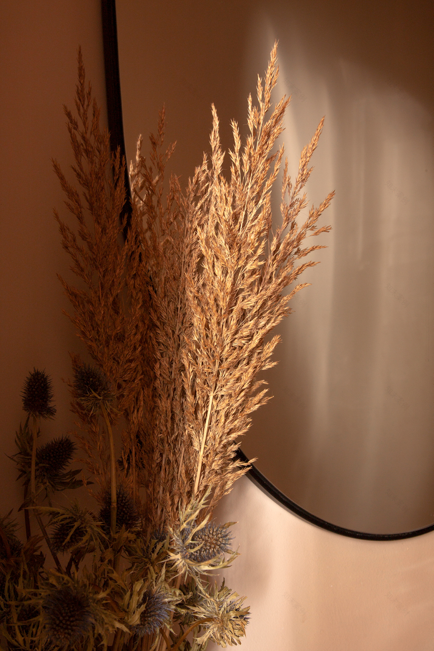 马德里 Casa Olivar 住宅丨西班牙马德里丨Matteo Ferrari 和 Carlota Gallo-67