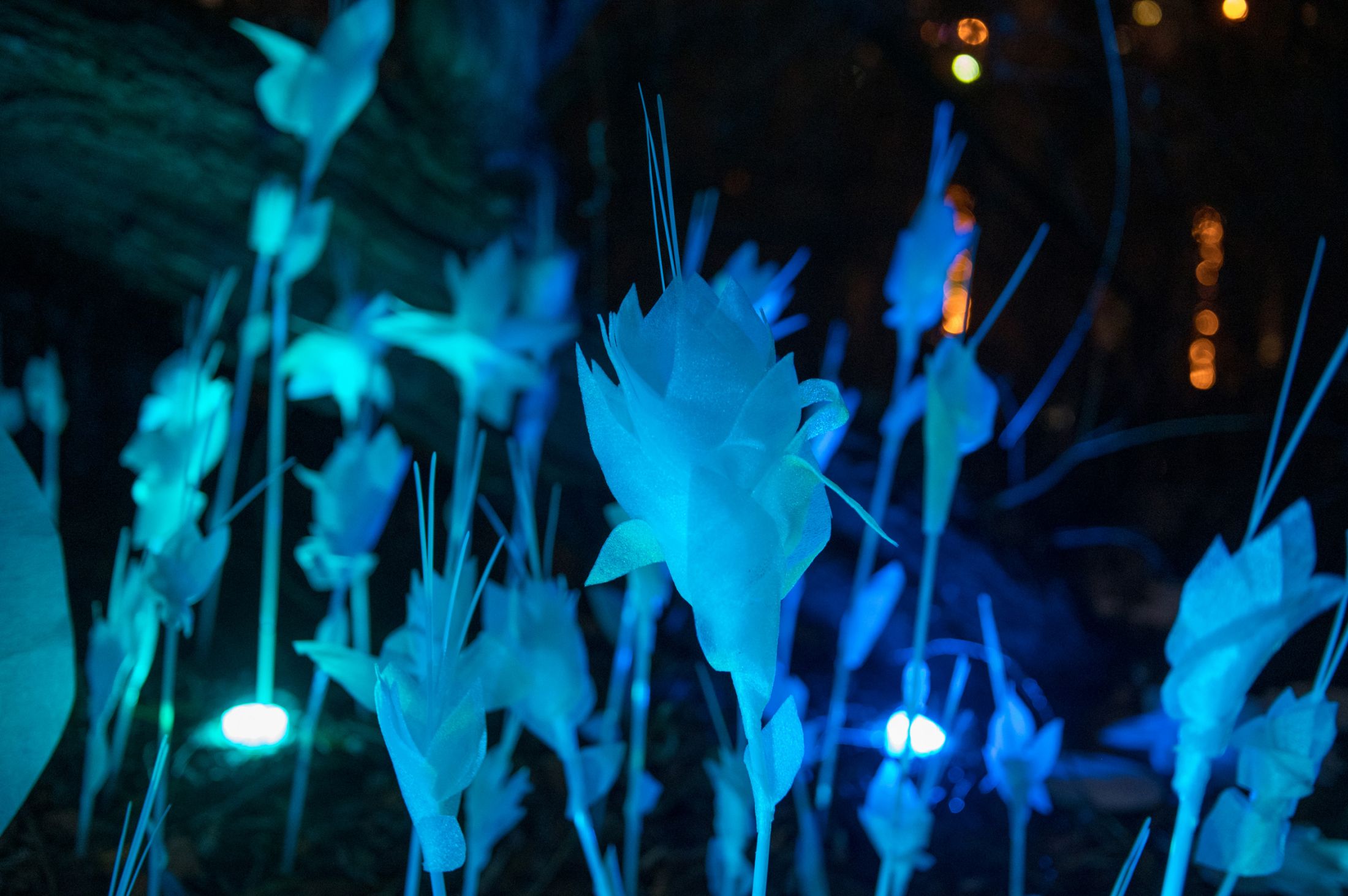 不可回收垃圾制成的植物装置-7