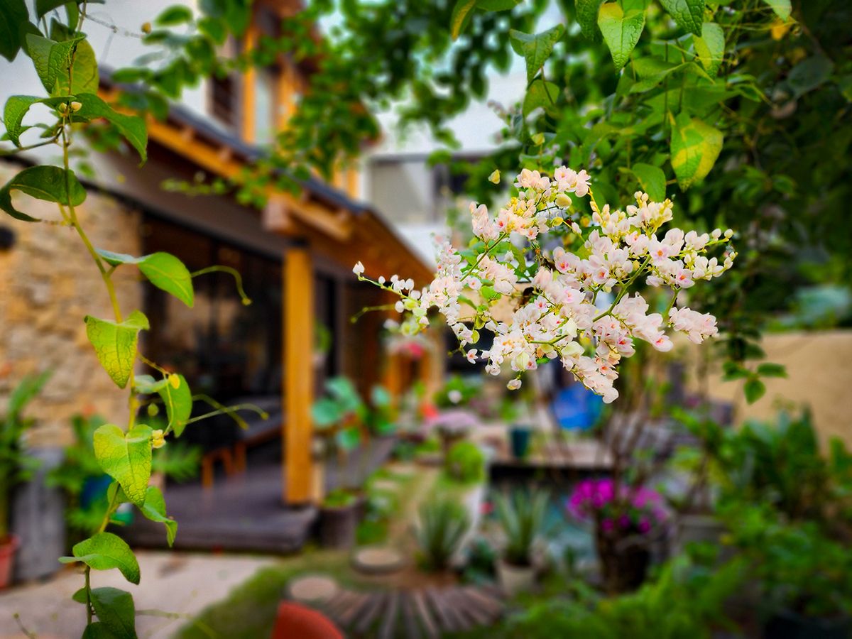 绿意盎然的家庭乐园 | HOH 建筑与 construction-34