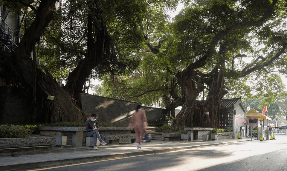 日常的风景·深圳宝安灶下村景观改造设计丨中国深圳丨深圳自组空间-44