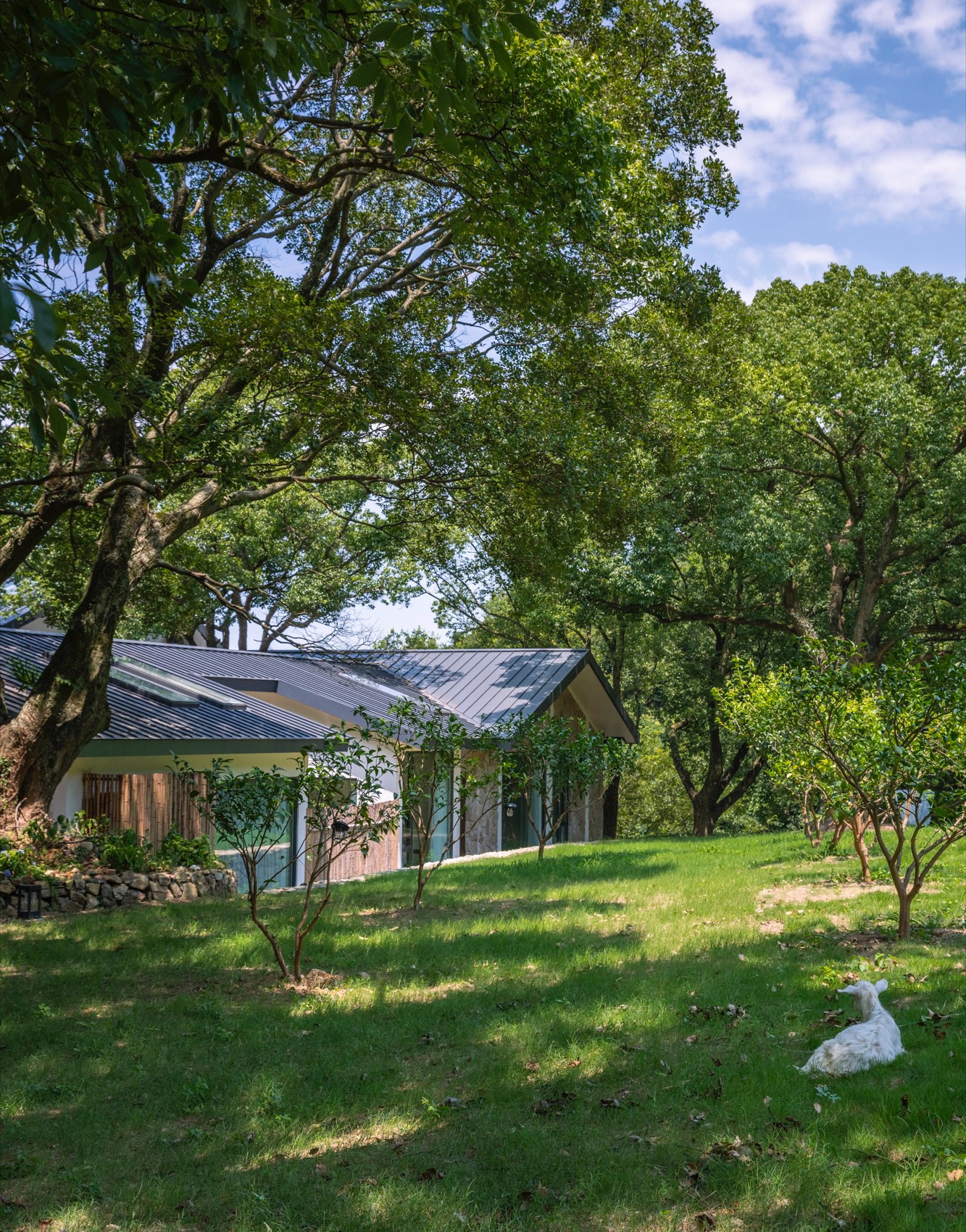 抚心集·愈丘Villa山野美宿丨中国普陀丨介隐建筑事务所-101