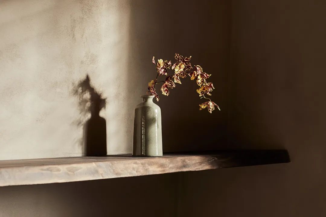 Benoit Viaene 打造和谐个性化空间-69