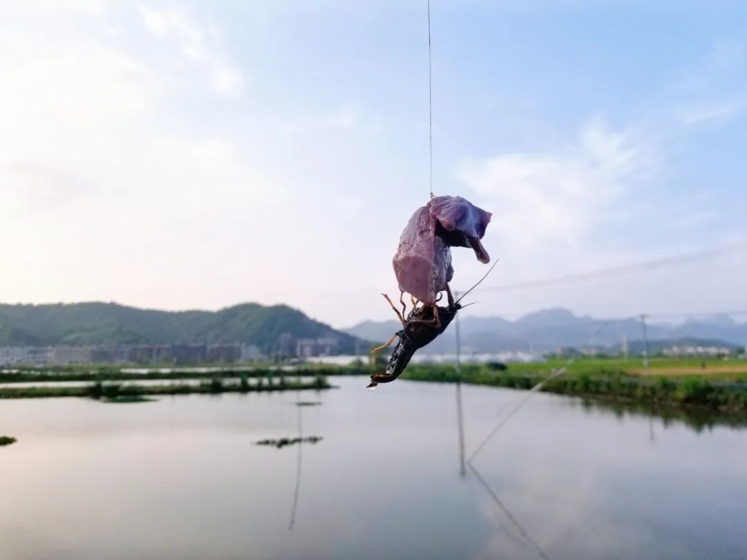 品东装饰户外团建活动 | 快乐工作，健康生活-13