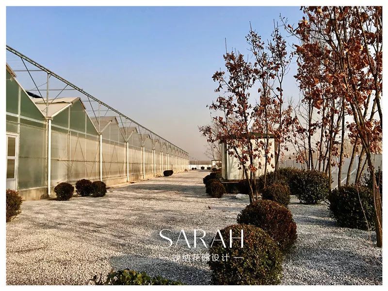 高技术与高颜值的京东"未来“植物工厂-24