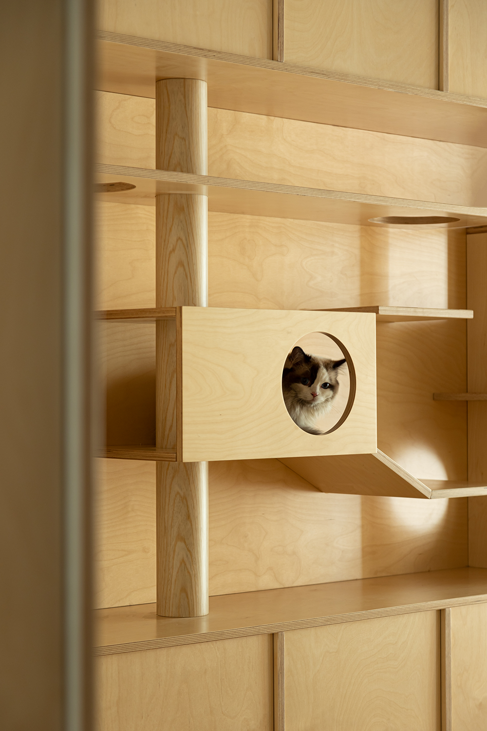 原木风:自然·惬意！丨中国合肥丨1890.STUDIO-7