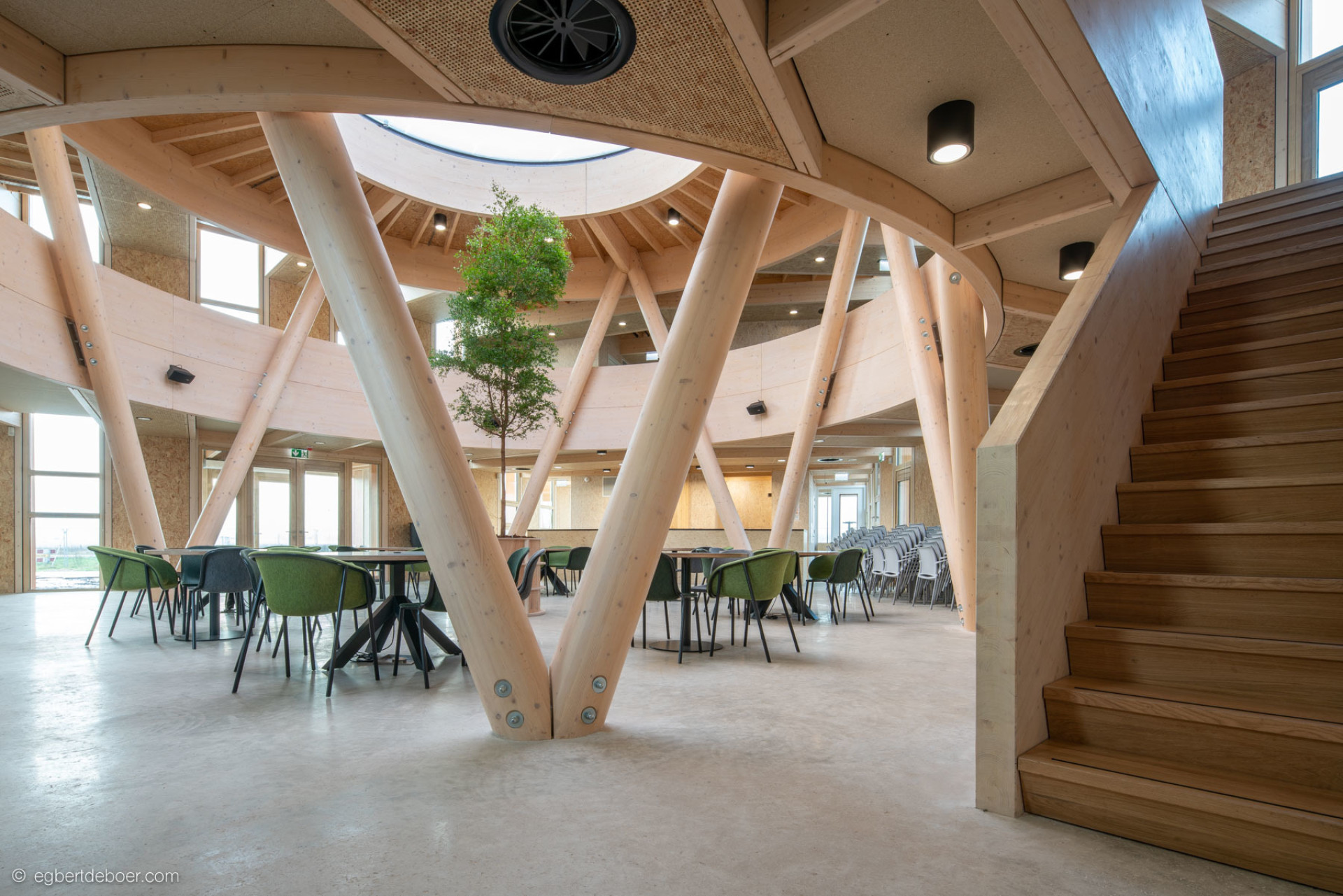 生物合成中心（注：由于Het Biosintrum可能是特定机构、场所等名称，这里Biosintrum推测是生物合成相关含义加上后缀构成的词，具体准确含义可能需结合更多背景信息确定 ） 丨Paul de Ruiter Architects-10