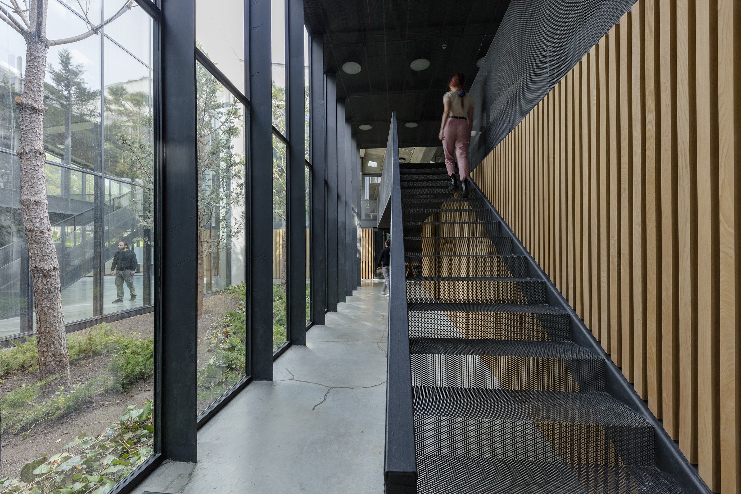 格鲁吉亚咖啡生产厂 - 创新工厂设计-63