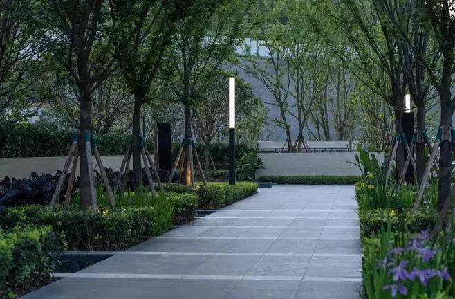 园路列植设计丨上景总工办-36