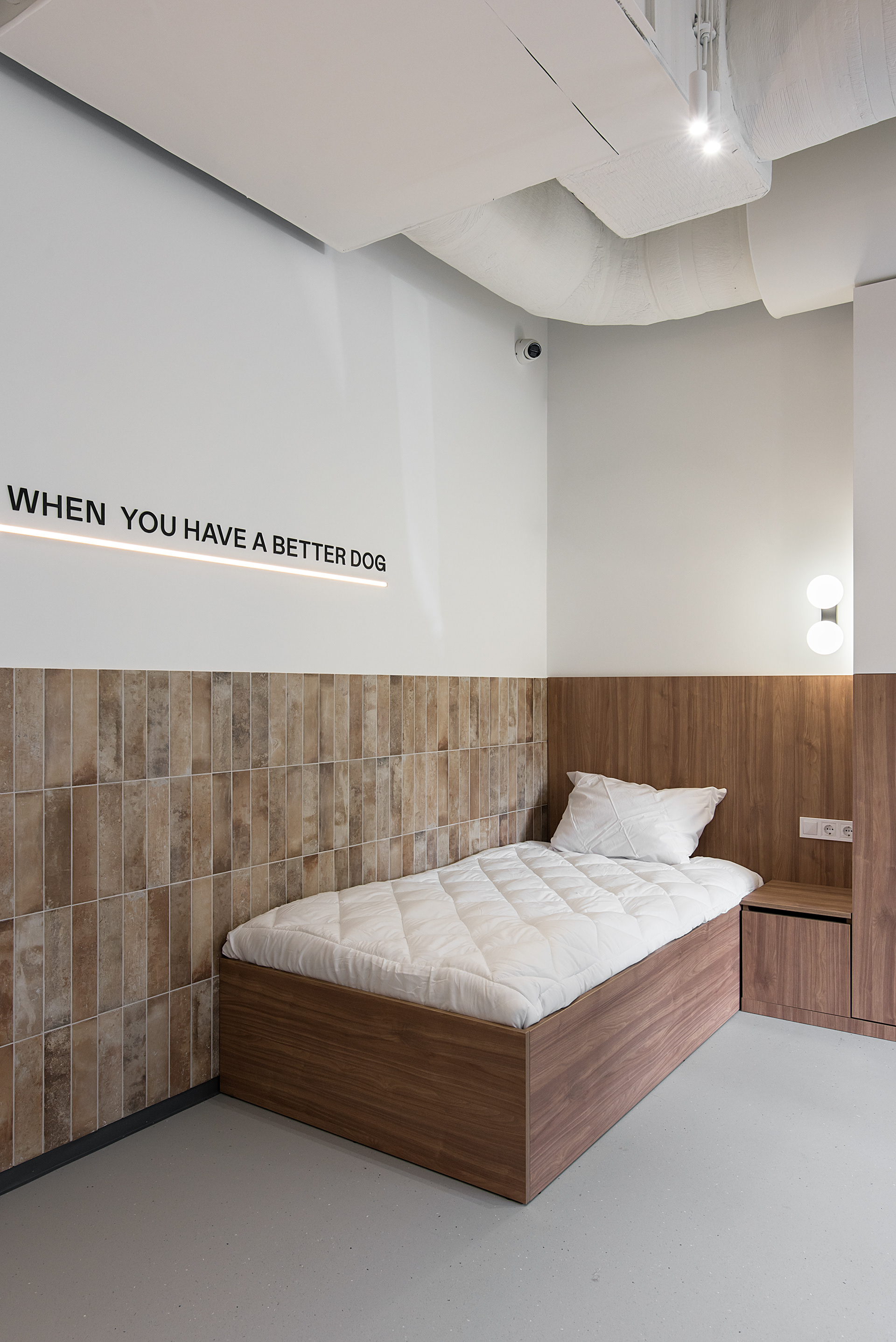 宠物医院丨乌克兰基辅-39