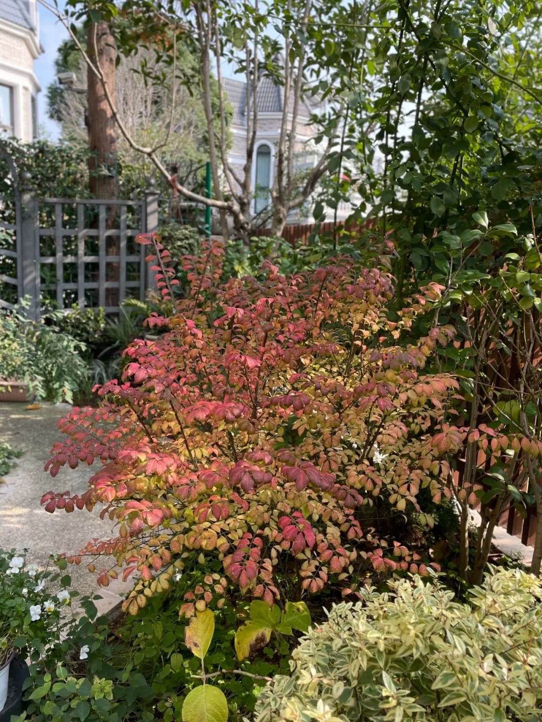 一米花园丨中国上海丨专业设计团队-69