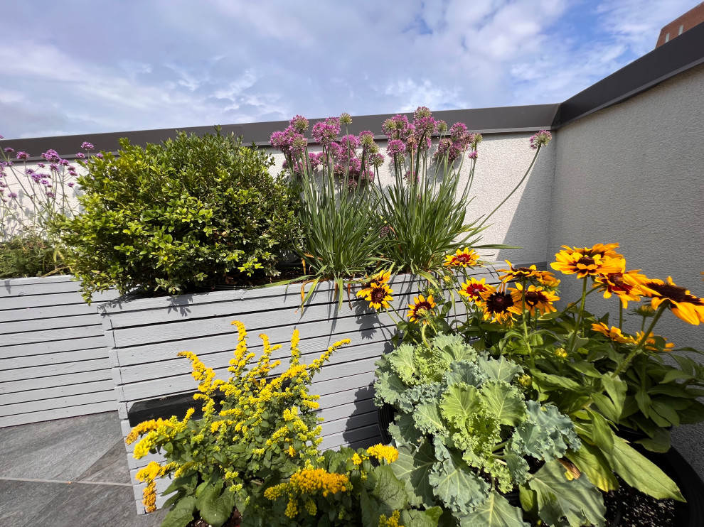 Williamsburg Roof Garden-23