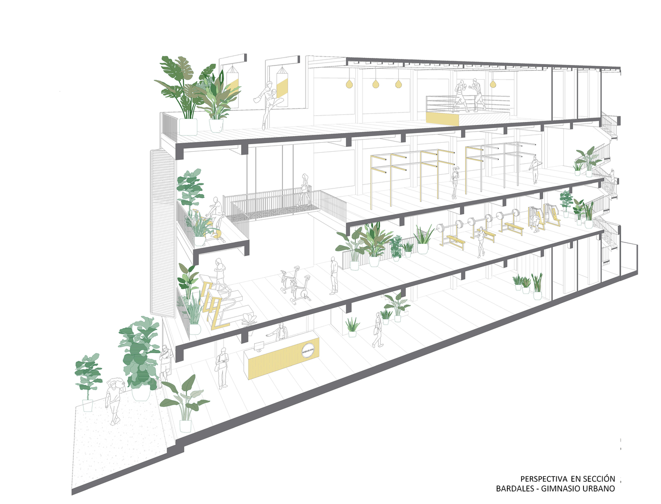 巴达莱斯城市训练中心丨厄瓜多尔丨Natura Futura Arquitectura-47