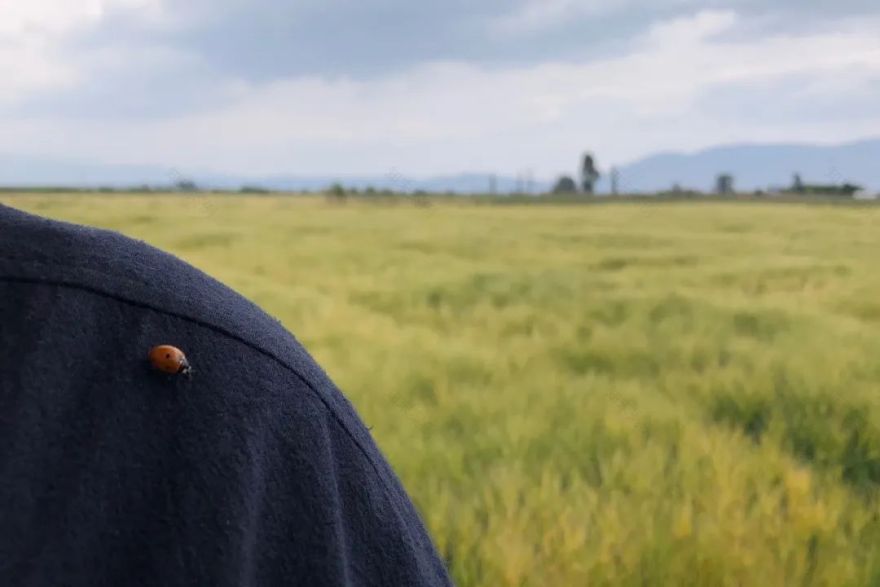 游走的心灵设计 | 远方的田野-69