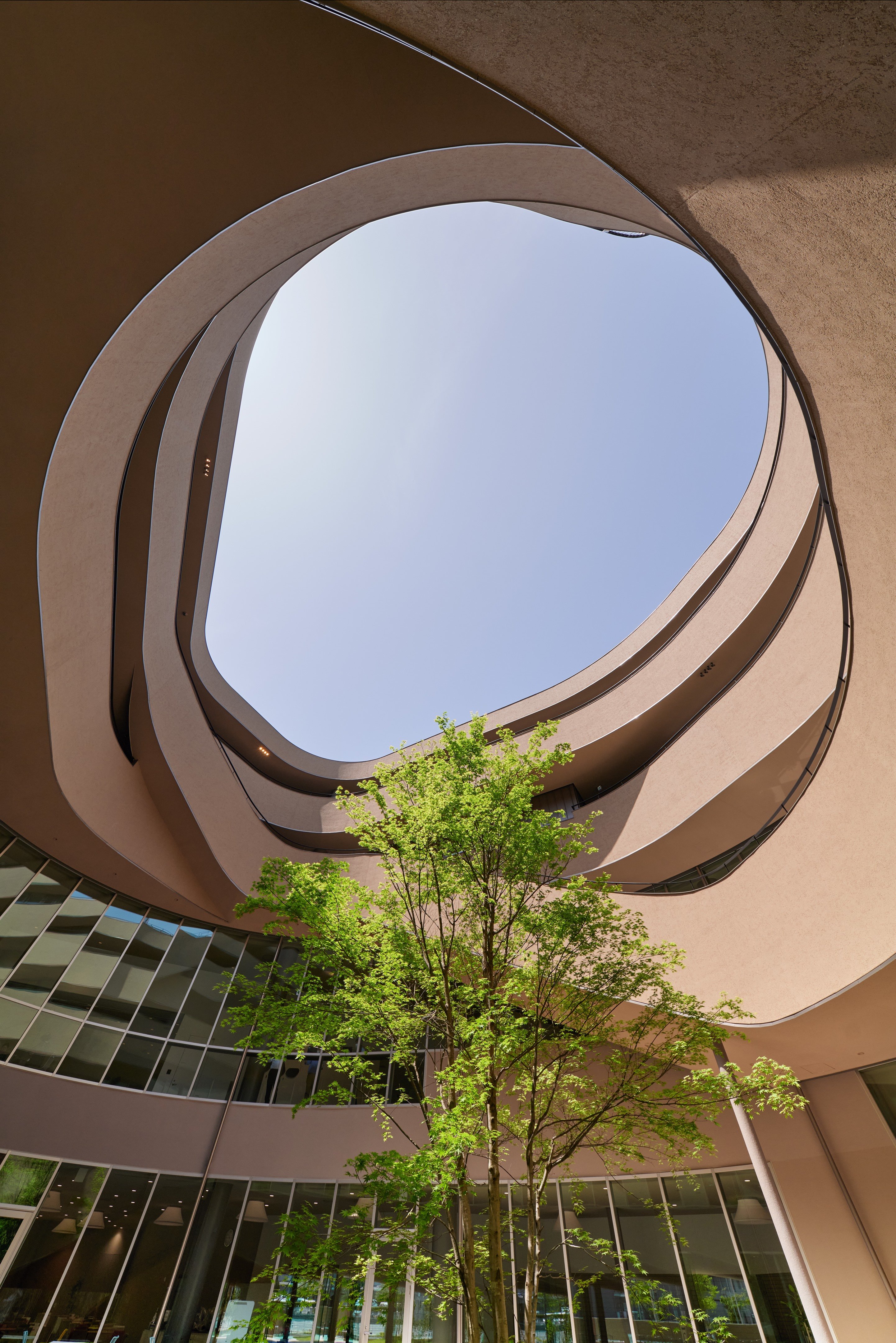 森林的聚会场所丨日本奈良丨Tetsuo Kobori Architects-0