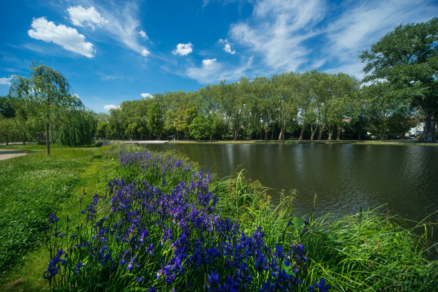 城市花园复兴 · 德国布尔城市中心更新-26