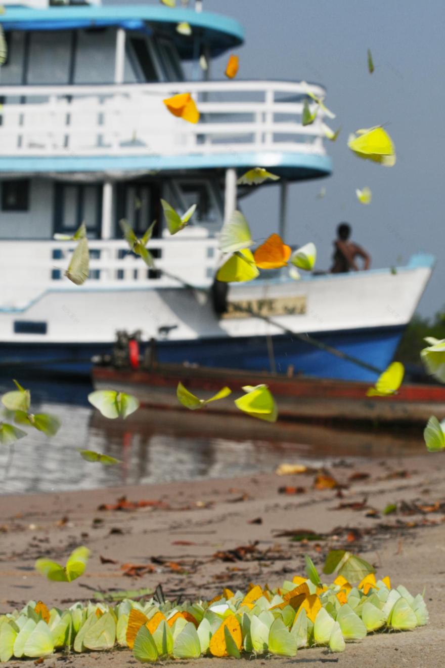 亚马逊鸟瞰酒店-17