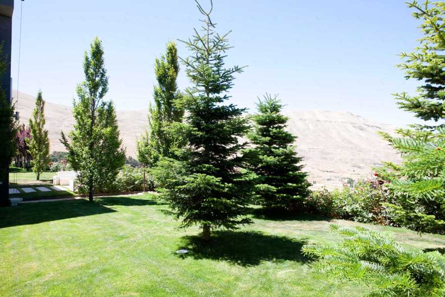 周末度假胜地 | 雪松森林中的私人住宅-20