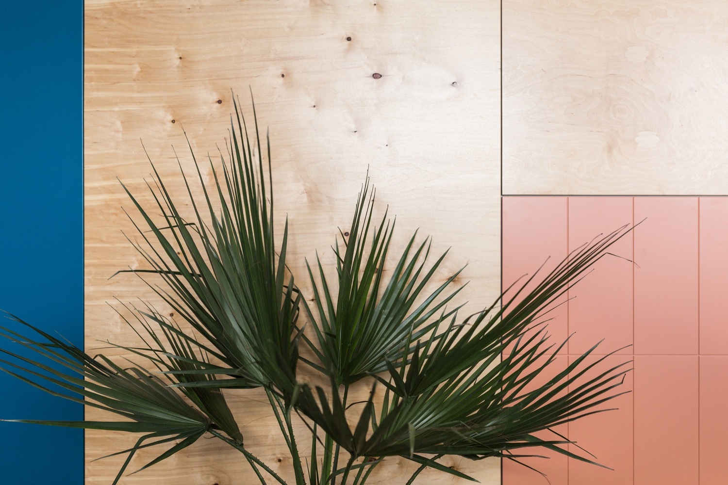 Vizor 互动公司办公室-34