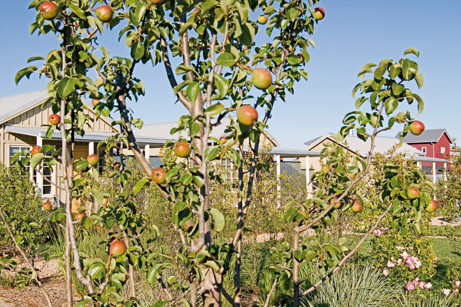 卡内罗斯酒店丨美国加利福尼亚丨OLIN-25