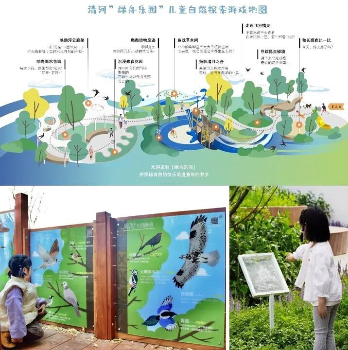 城市更新行动_生态篇|清河街道绿色更新实践-52