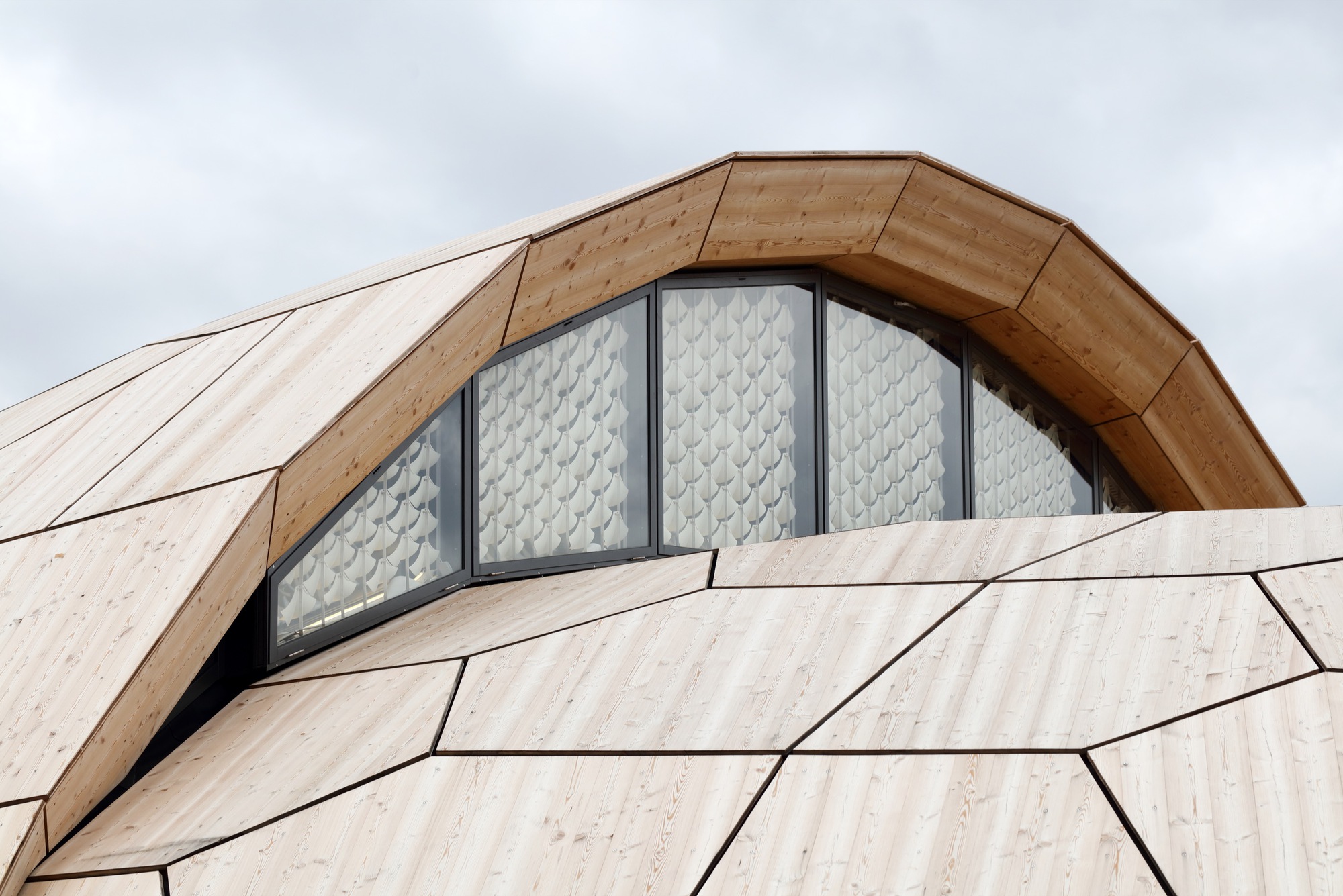 livMATS 仿生壳丨德国丨ICD,ITKE University of Stuttgart-15