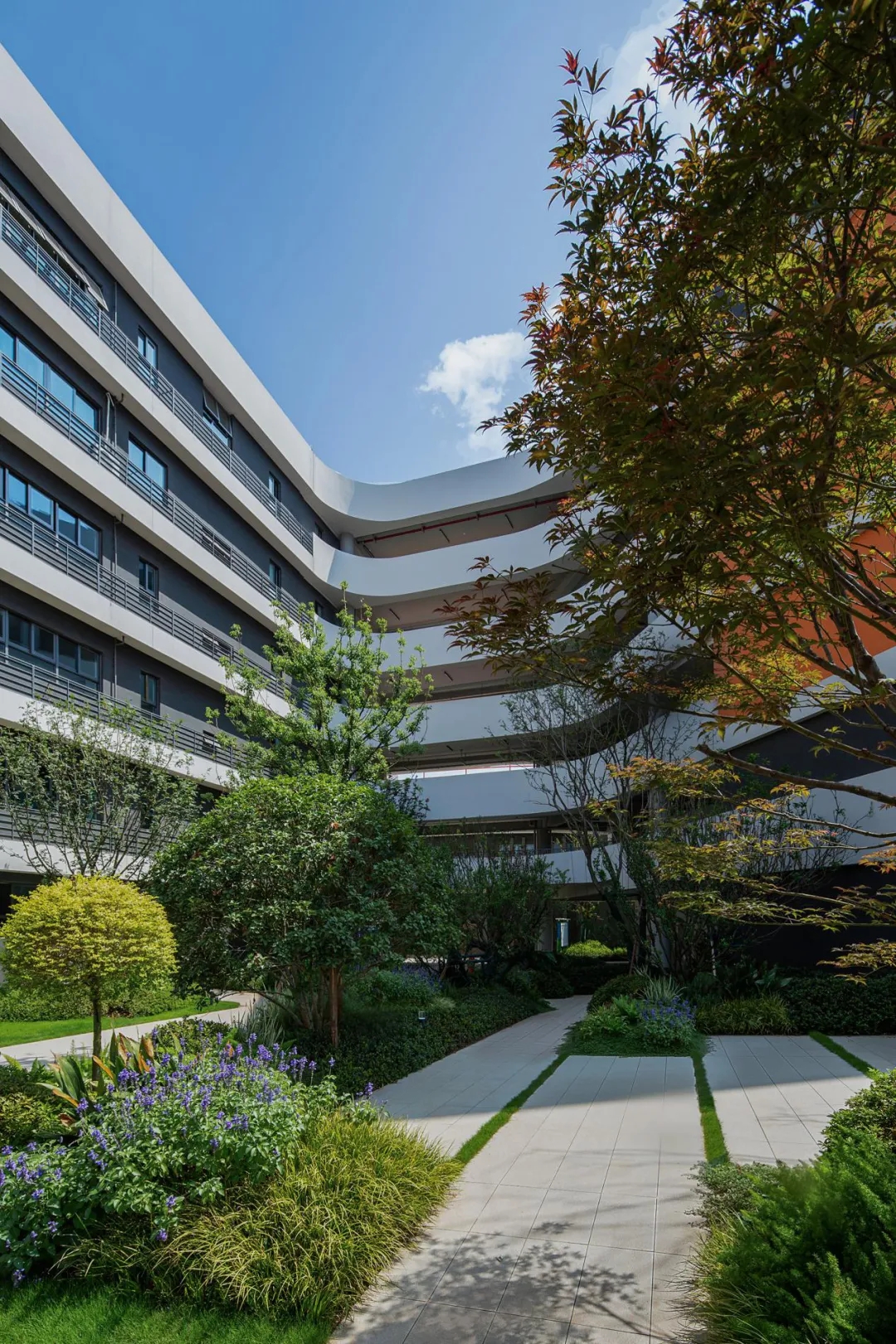 湖南师大附中双语树人学校丨中国长沙丨希尔-10