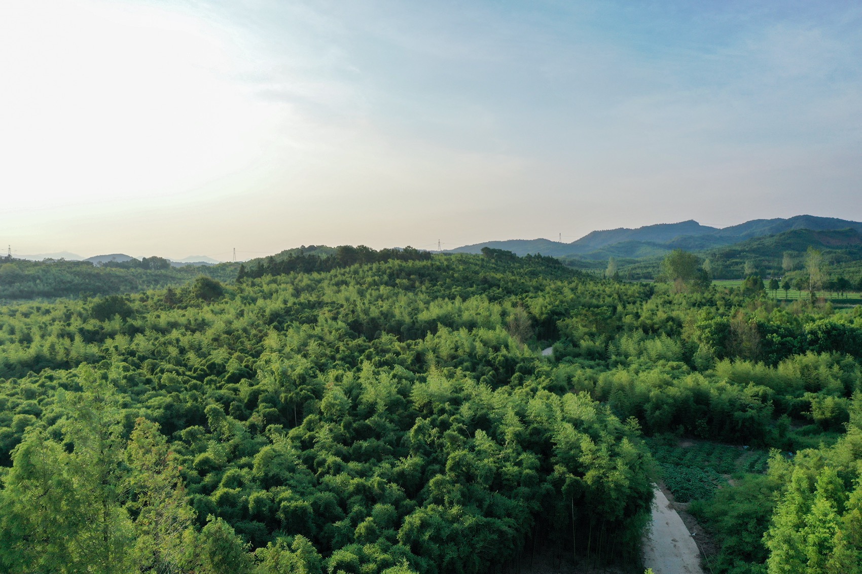 四边庭·文化地理单元实验室丨中国湖州丨ConCom 集良建筑事务所,东南大学建筑设计研究院-26