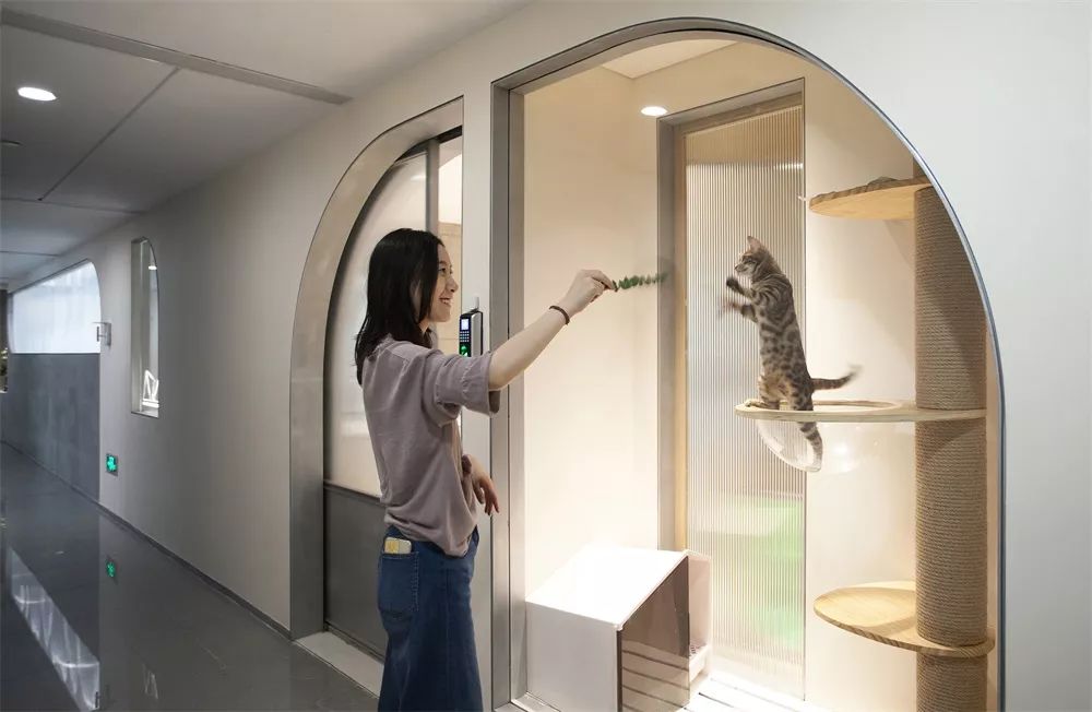 卧野空间设计事务所办公室——自由交流的弧形空间-50