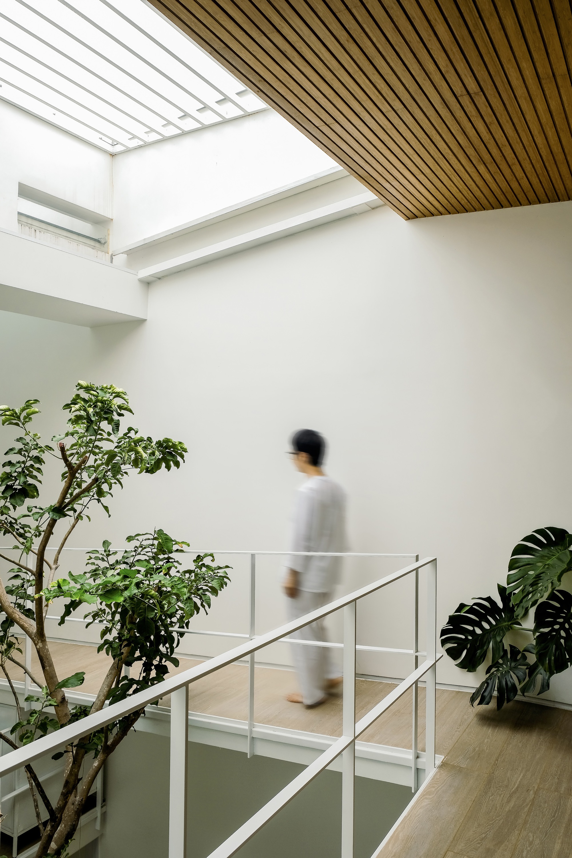 巴普的房子丨越南丨90+2 architects-7