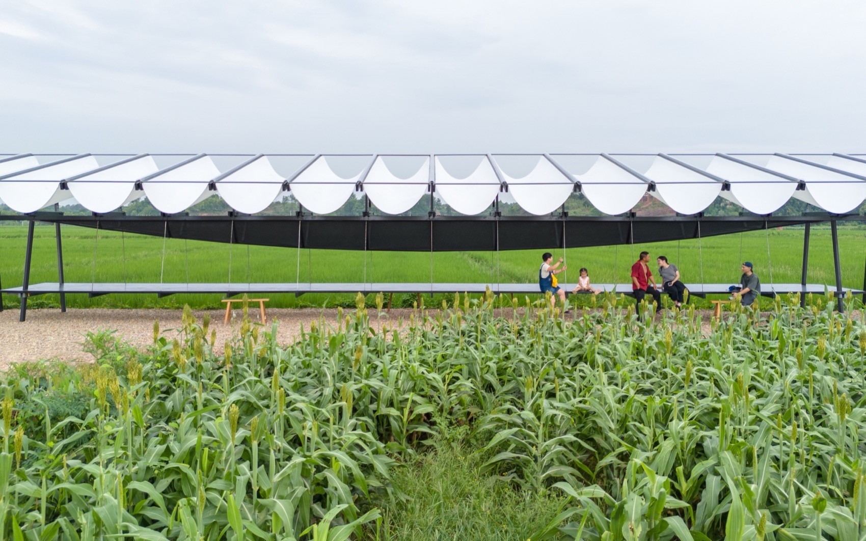 大地长桌丨中国衢州丨梓集fabersociety-149