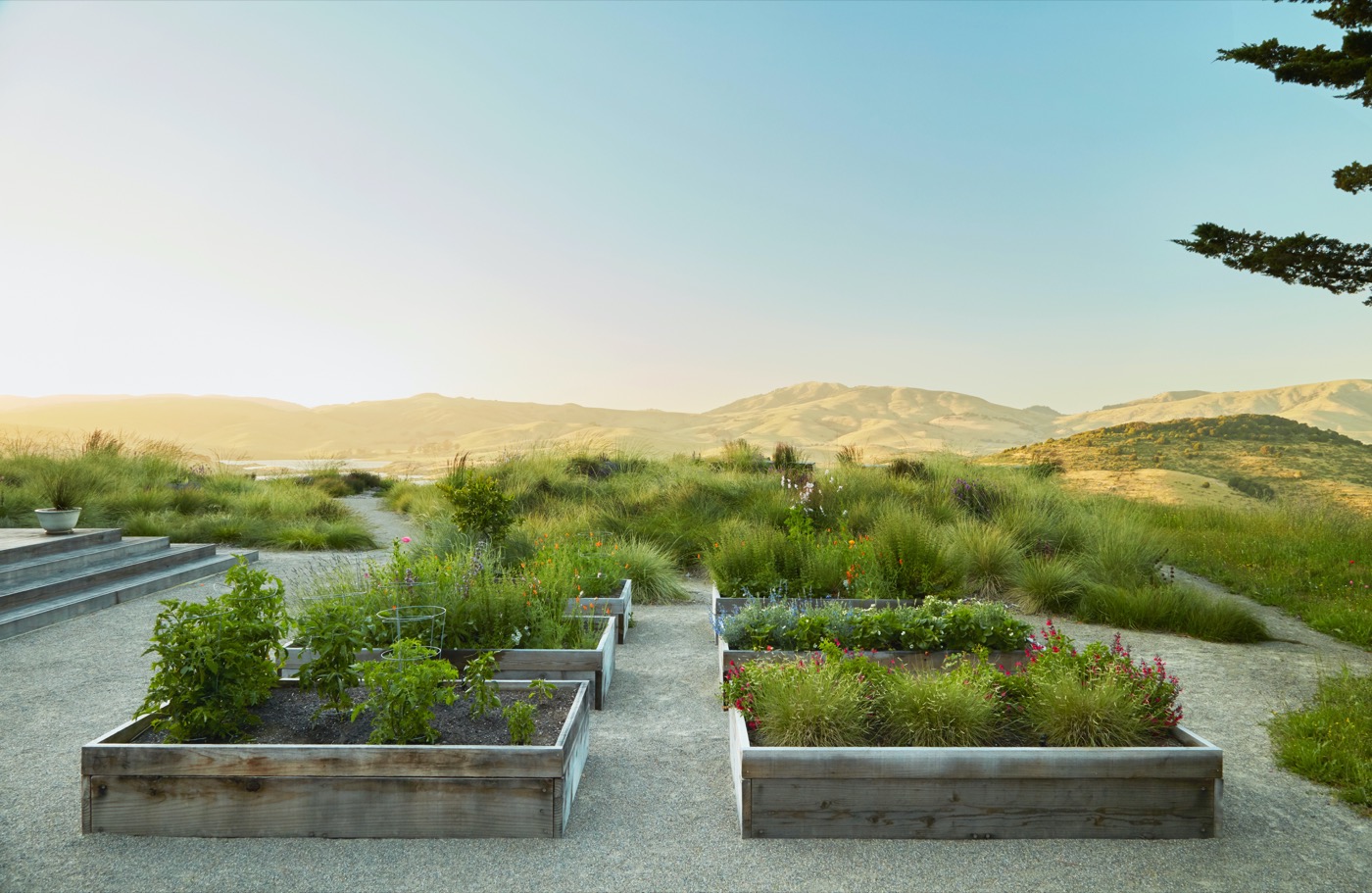 加州牧场风景中的诗意花园丨美国加利福尼亚丨Terremoto-6