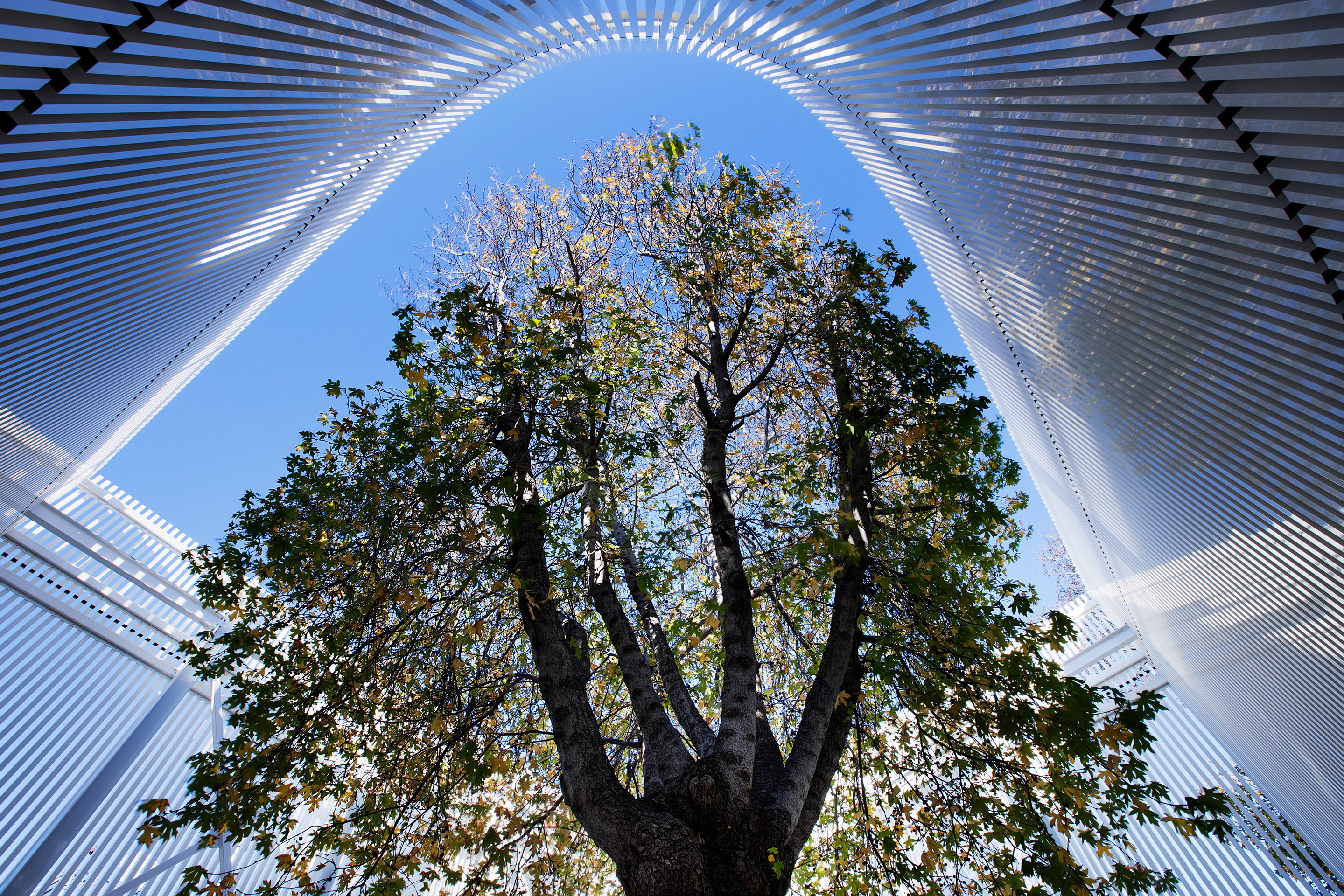 Turgutreis 社区中心丨土耳其丨UNAS-22