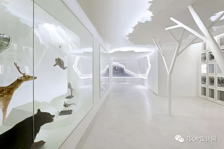 台湾最美博物馆 | 惠柏设计-20