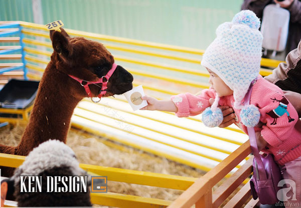 Zoodoo咖啡馆(“澳大利亚风格”动物园咖啡馆)丨越南-21