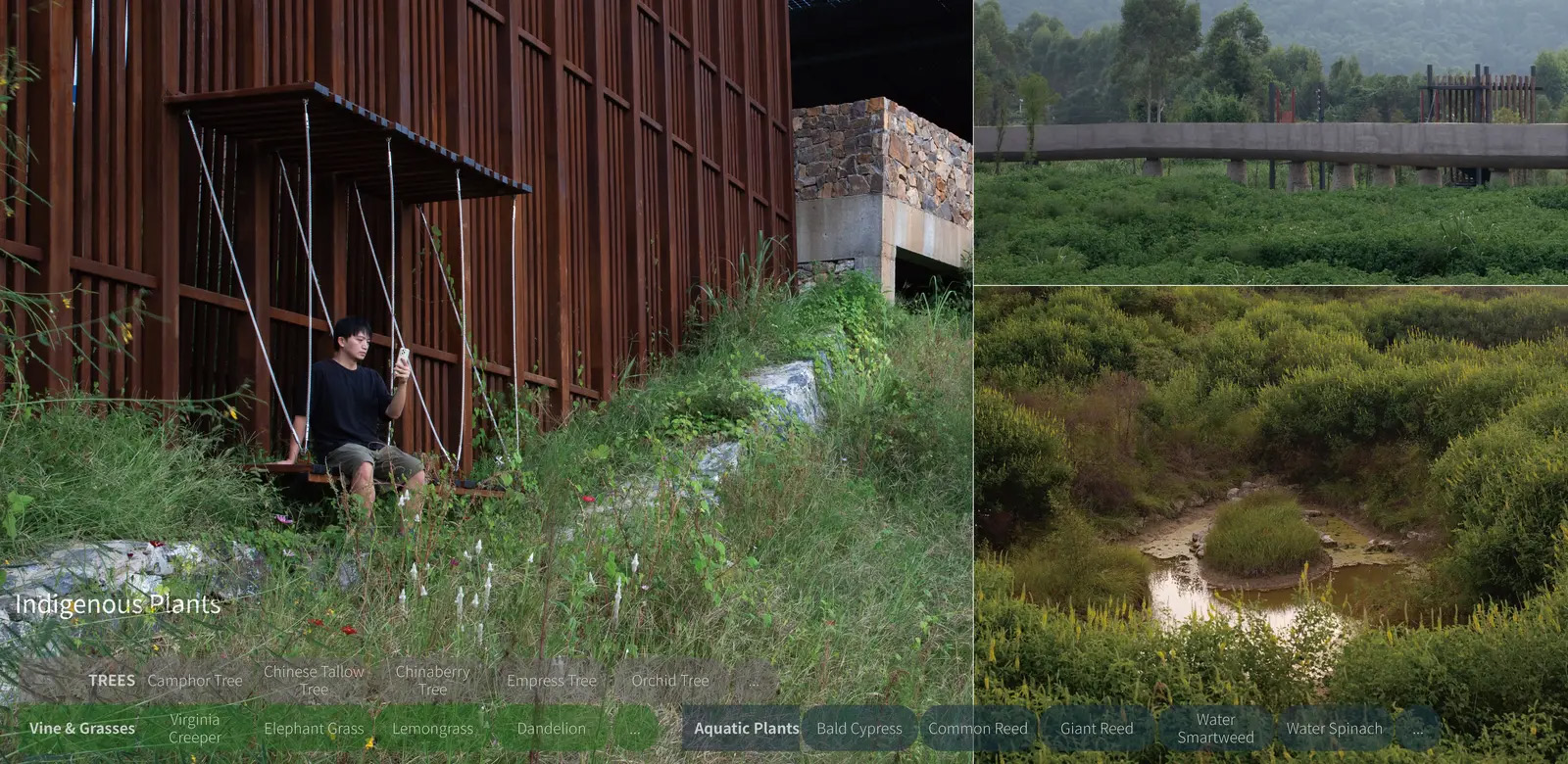 桂头镇湿地公园丨中国广东丨有限设计工作室-30