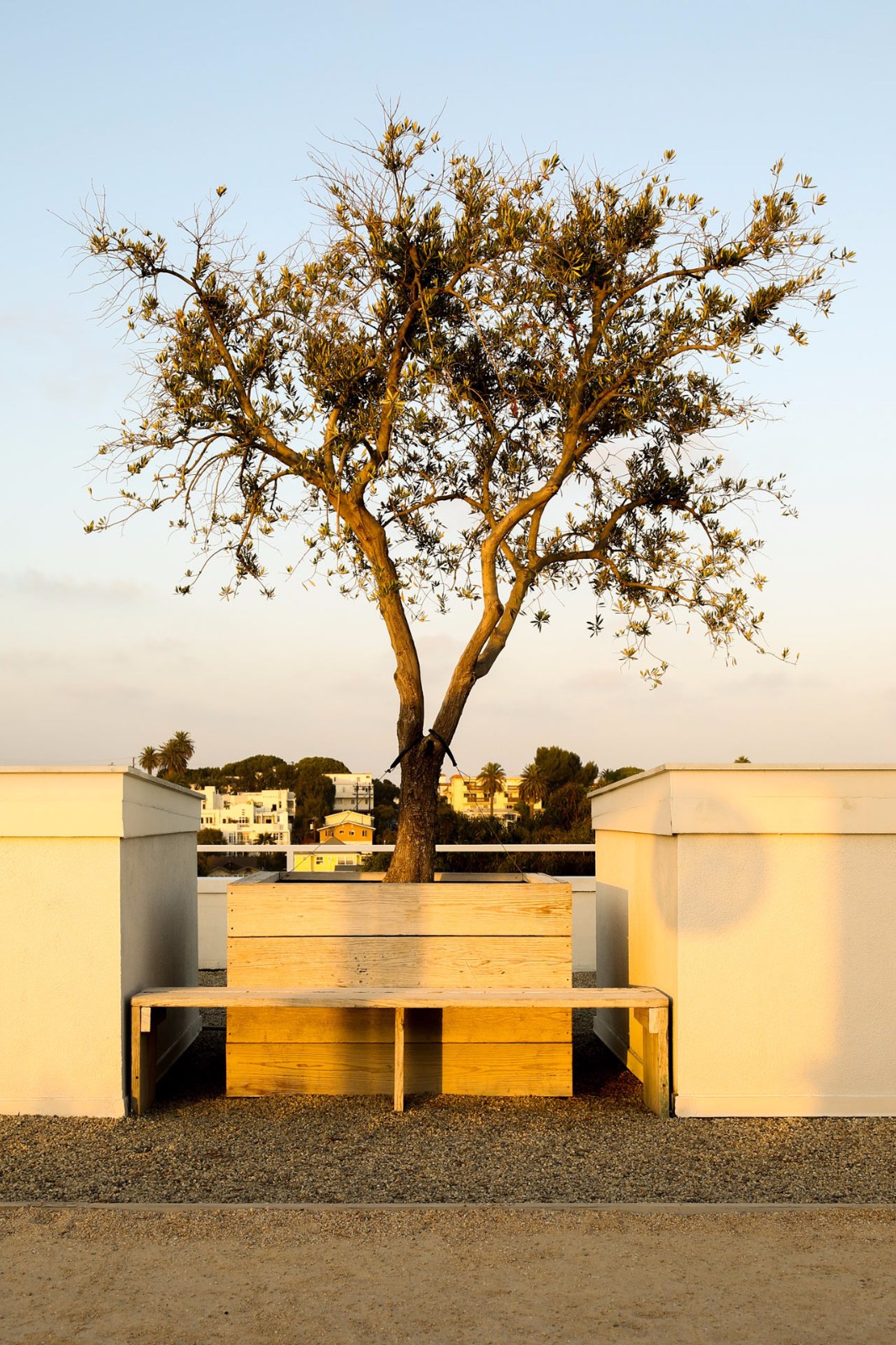 原始自然风开放式混凝土家居设计-17