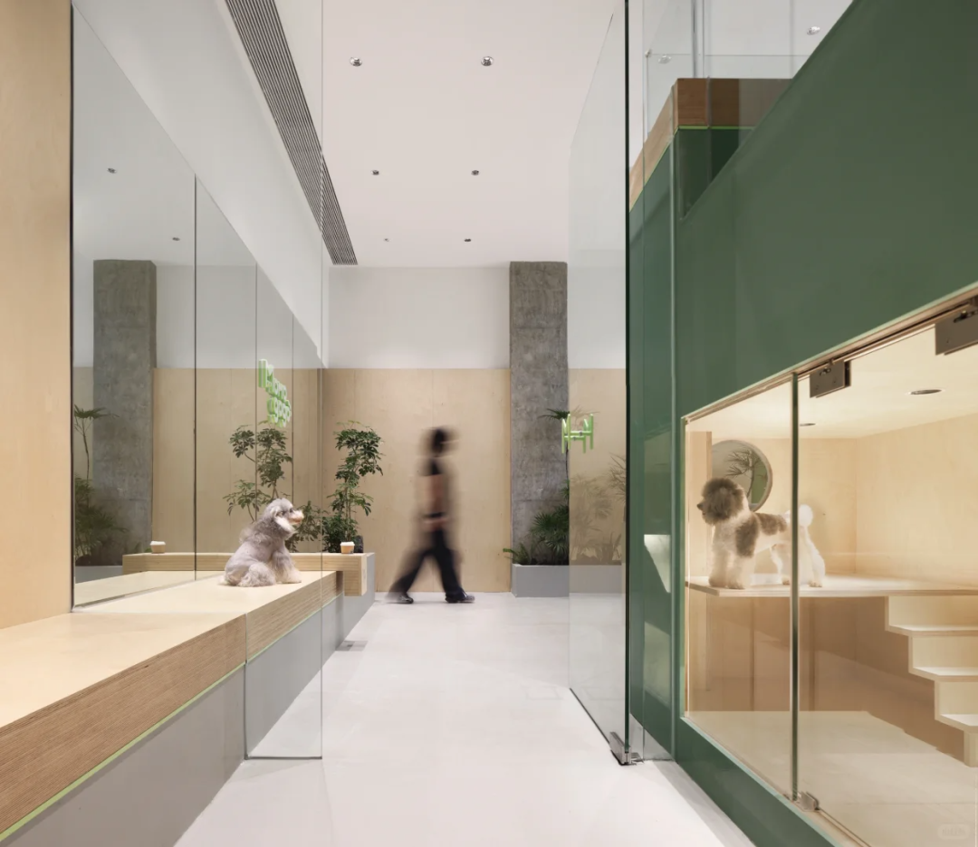 海南▶Momogogo人宠都市绿洲——毛孩子的友好综合空间-26