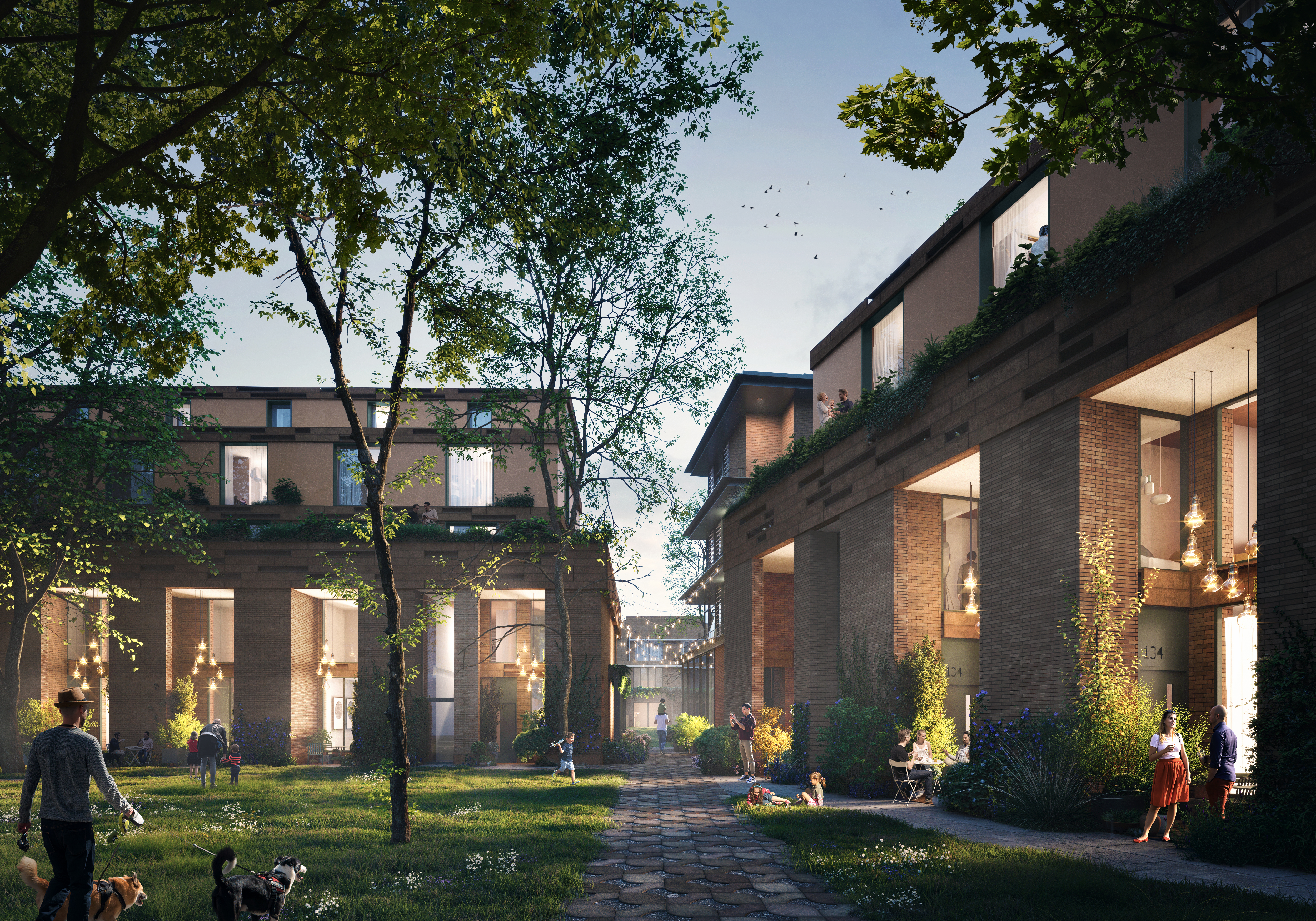 科厄·鹿特丹丨荷兰鹿特丹-6