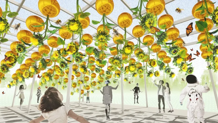 地形工作重力场-16