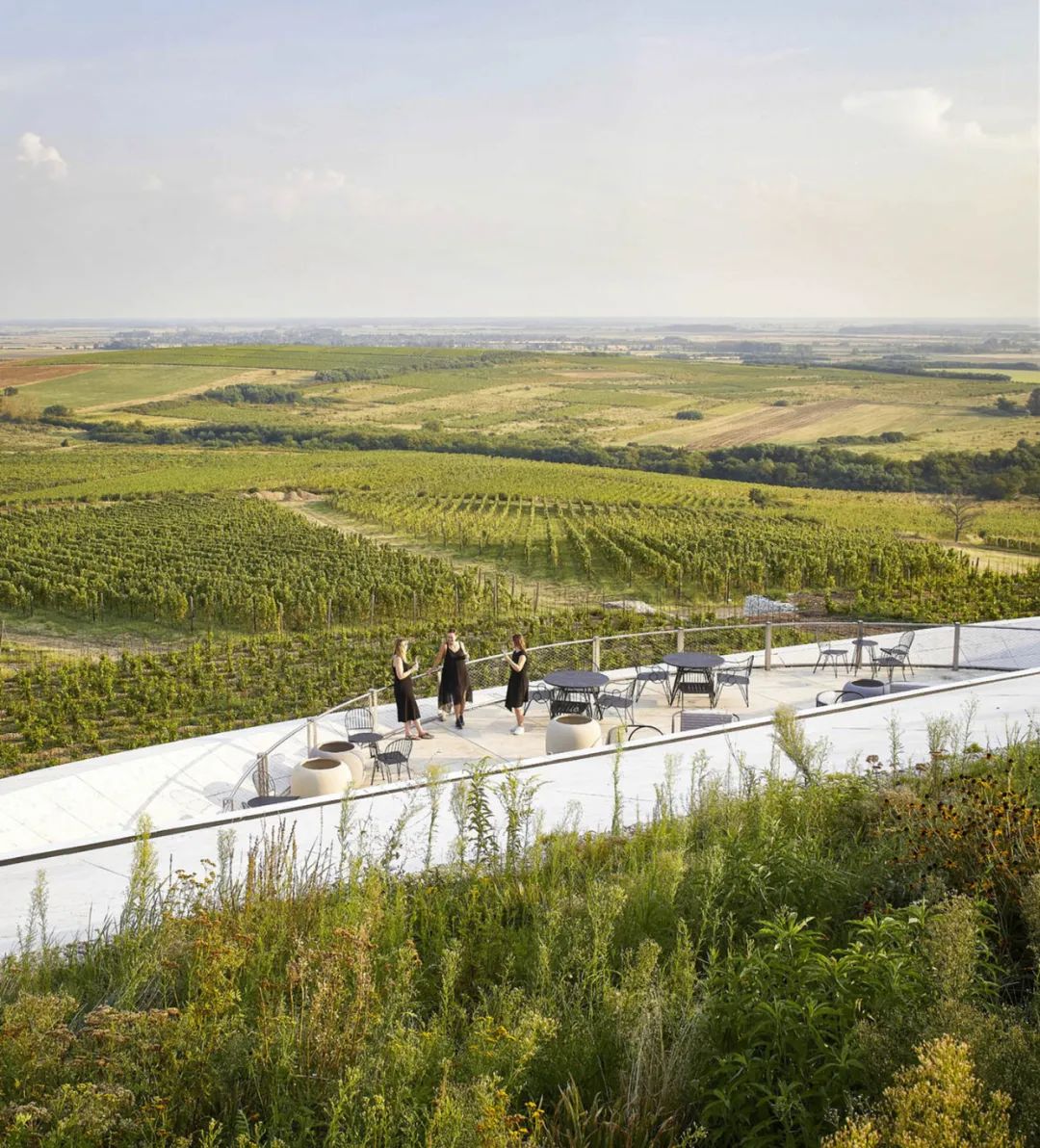 绍什卡·托卡伊酒庄丨匈牙利-40