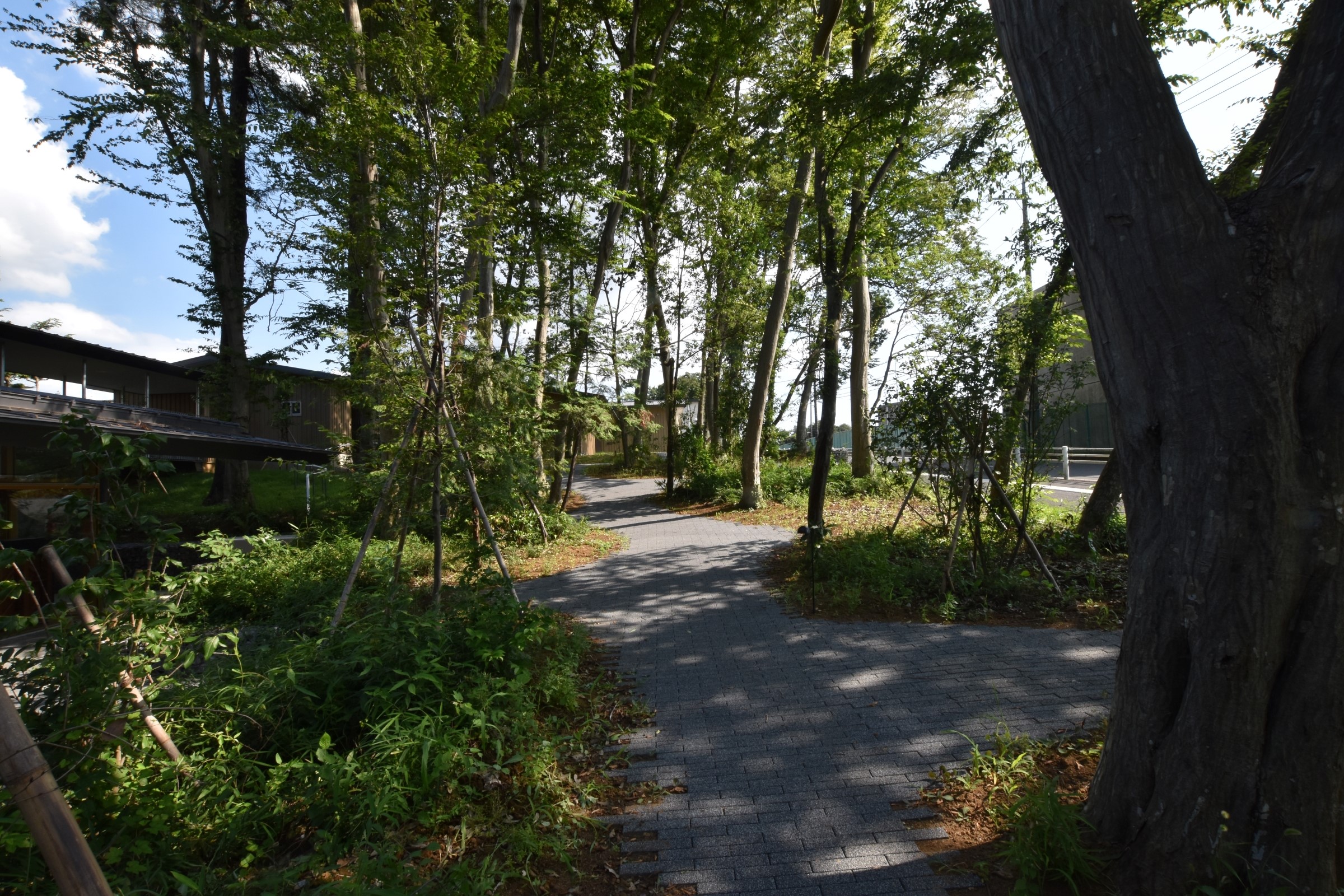 绽放的风 (Bloom no kaze)-2