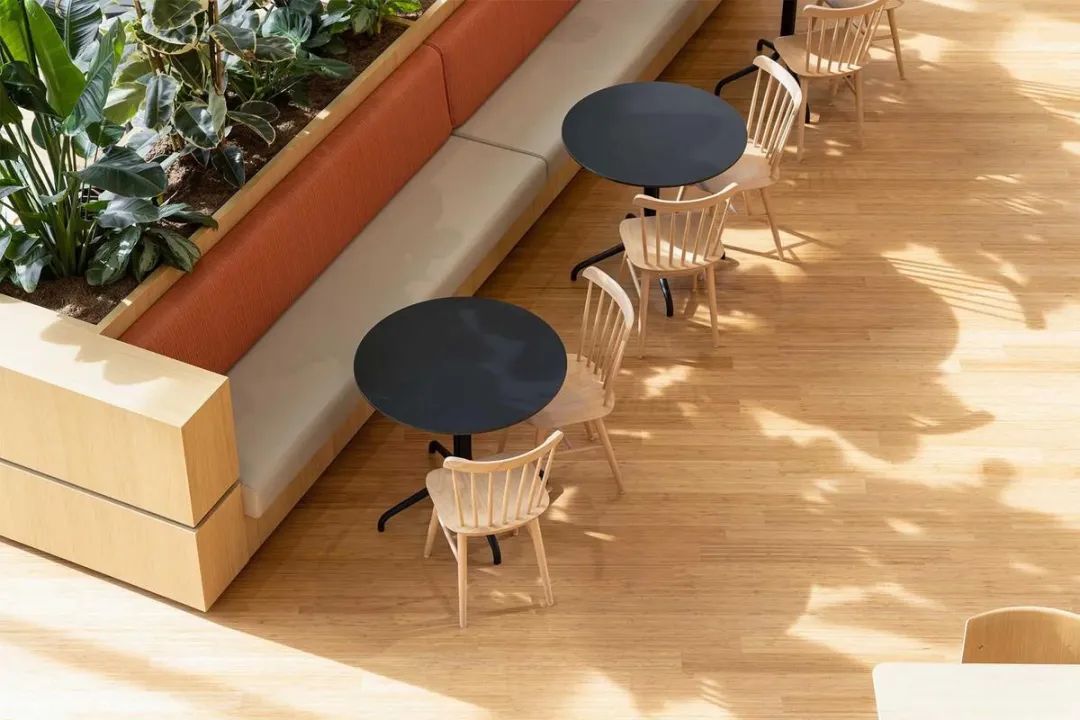 Galapagos企业总部丨荷兰丨CBRE-74