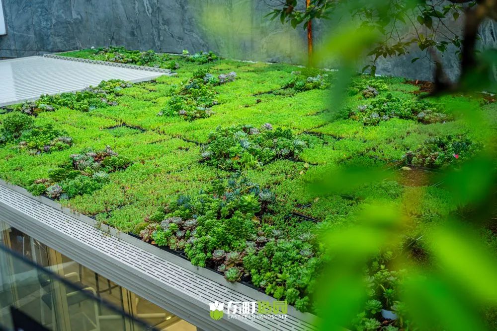 町室丨中国上海丨朱伟国（Mark.Zhu）-80