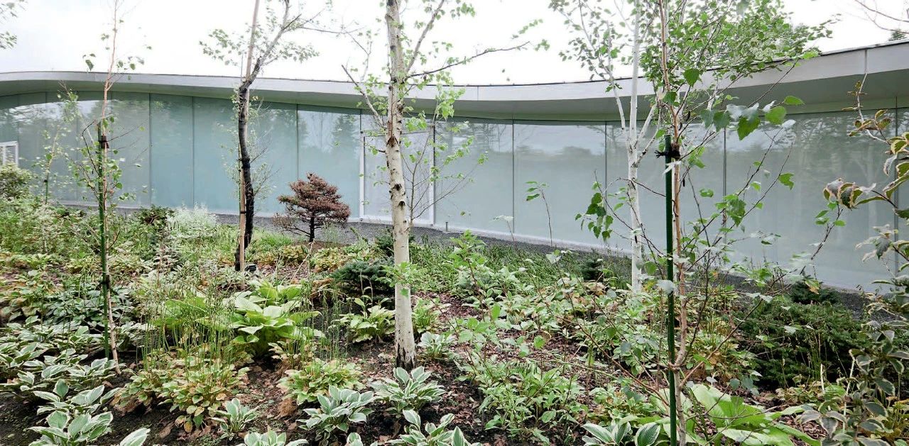 日本长野千住博美术馆丨西泽立卫建筑设计事务所-17