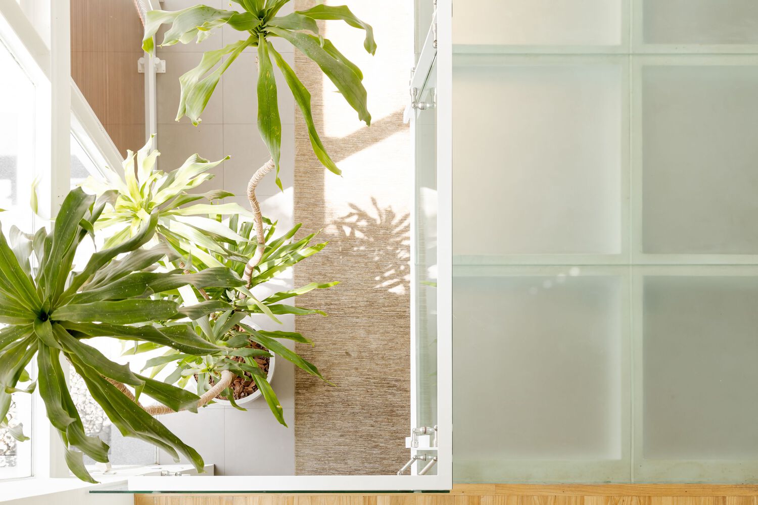 巴西圣保罗 Shed House丨Consuelo Jorge Arquitetos-37