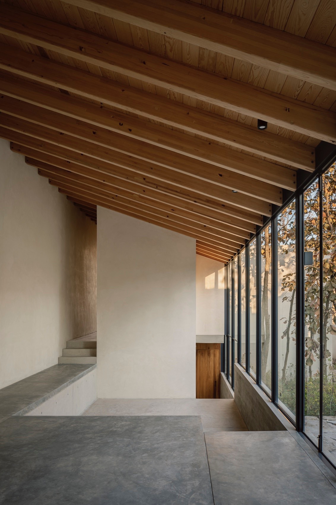 Caribu 住宅丨墨西哥丨Taller Tequio-36