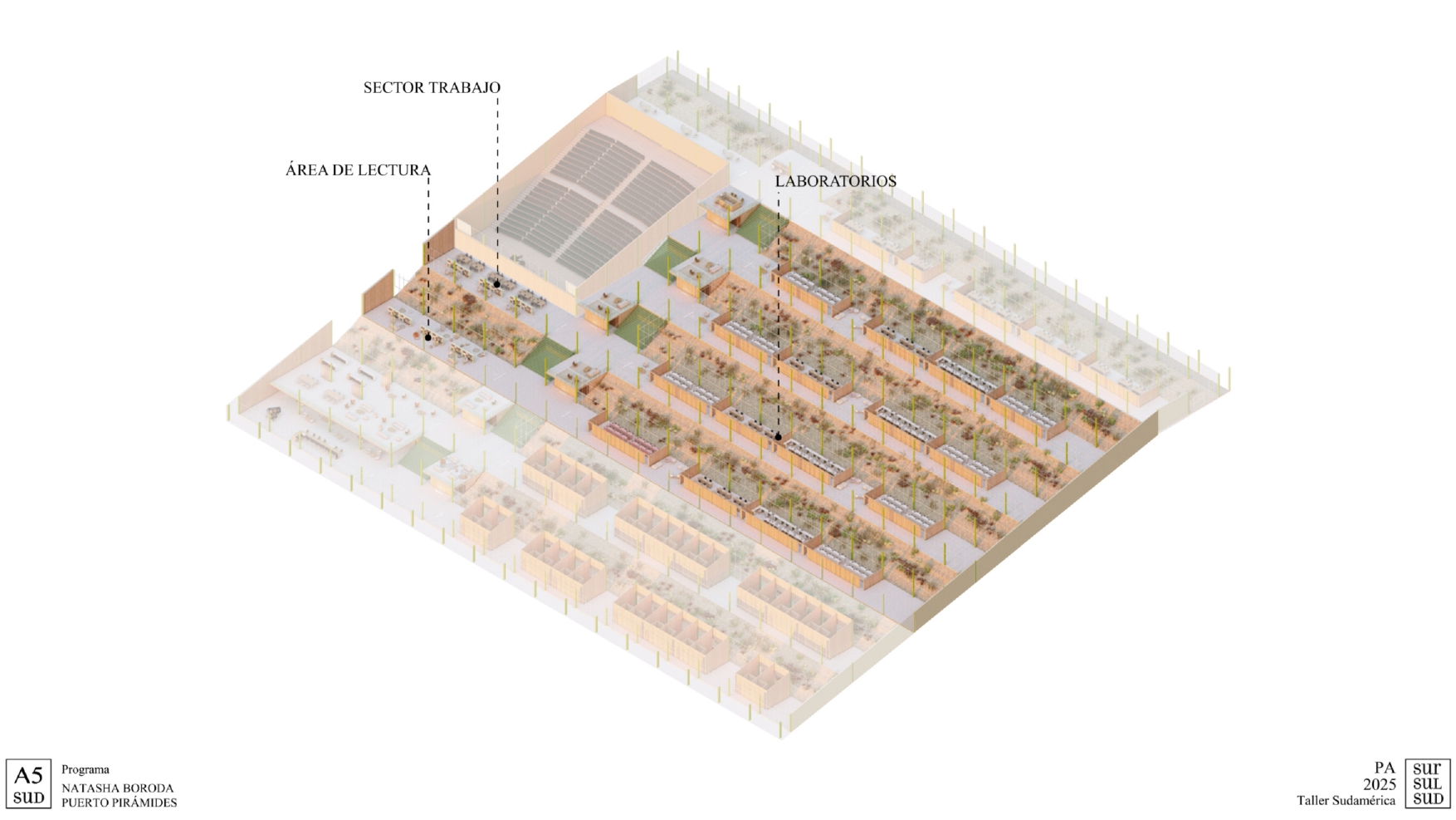 Puerto Pirámide | Centro de Investigacion-21