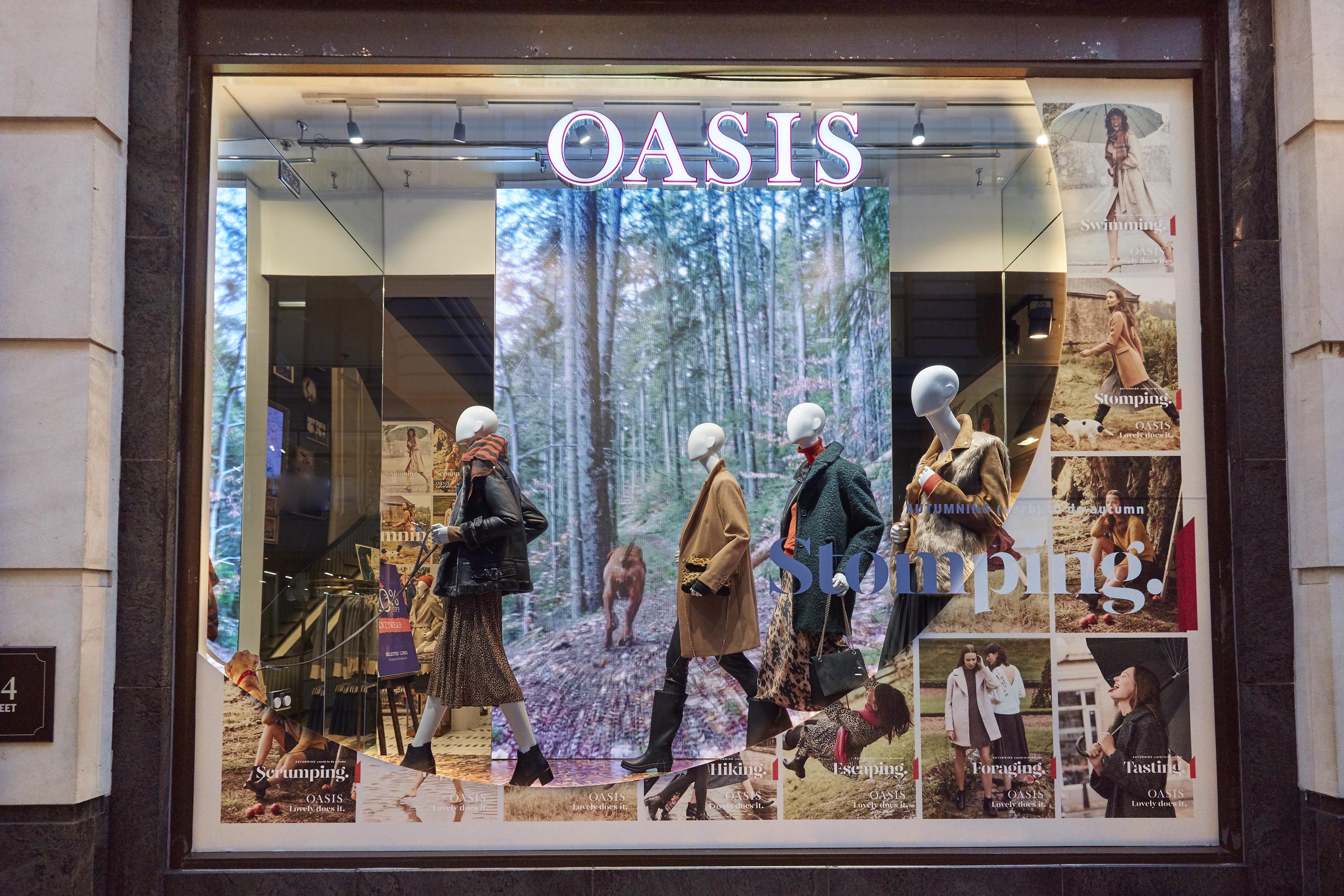 Oasis ‘Autumning’ window by Lucky Fox-9