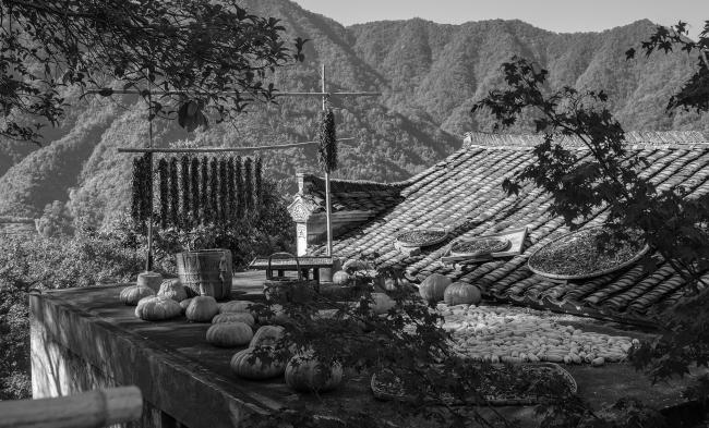 中国宏村重建项目（注:原文“ Хуанлин ”推测为“宏村”音译）丨中国上饶丨未明确提及,可能有同济大学专家参与-14